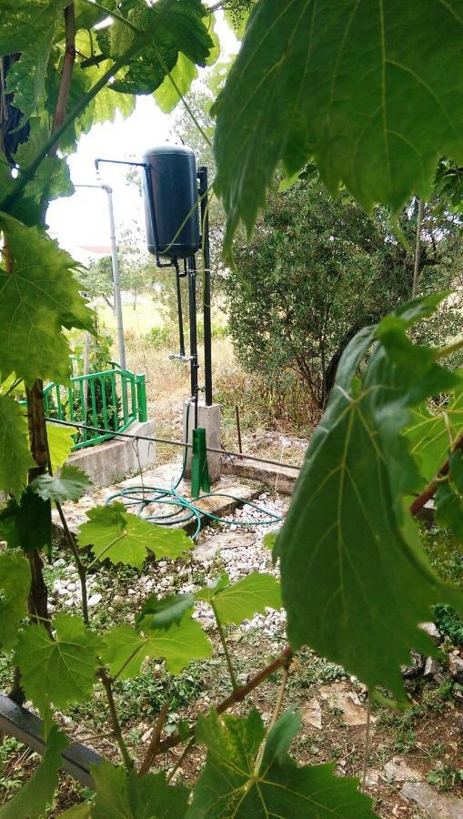 Apartments Delibasic Rogoznica  Εξωτερικό φωτογραφία