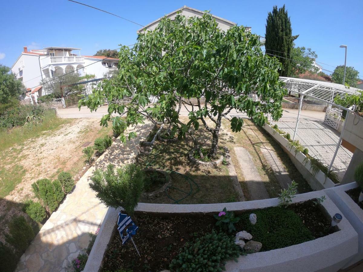 Apartments Delibasic Rogoznica  Εξωτερικό φωτογραφία